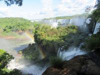 Iguazu (Argentinien) (34)