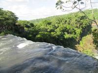 Iguazu (Argentinien) (36)