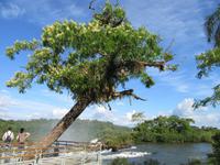 Iguazu (Argentinien) (43)
