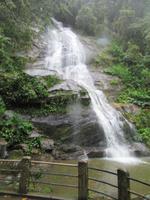 Rio de Janeiro (43)