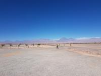 Rundreise Südamerika – Chile und Argentinien Santiago de Chile – Atacama-Wüste – Valparaiso – Punta Arenas – Torres del Paine – Perito Moreno-Gletscher – Buenos Aires (47)