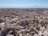 Rundreise Südamerika – Chile und Argentinien Santiago de Chile – Atacama-Wüste – Valparaiso – Punta Arenas – Torres del Paine – Perito Moreno-Gletscher – Buenos Aires (98)