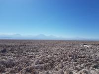 Rundreise Südamerika – Chile und Argentinien Santiago de Chile – Atacama-Wüste – Valparaiso – Punta Arenas – Torres del Paine – Perito Moreno-Gletscher – Buenos Aires (106)