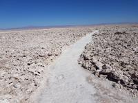 Rundreise Südamerika – Chile und Argentinien Santiago de Chile – Atacama-Wüste – Valparaiso – Punta Arenas – Torres del Paine – Perito Moreno-Gletscher – Buenos Aires (116)