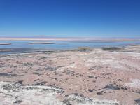 Rundreise Südamerika – Chile und Argentinien Santiago de Chile – Atacama-Wüste – Valparaiso – Punta Arenas – Torres del Paine – Perito Moreno-Gletscher – Buenos Aires (119)