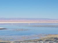 Rundreise Südamerika – Chile und Argentinien Santiago de Chile – Atacama-Wüste – Valparaiso – Punta Arenas – Torres del Paine – Perito Moreno-Gletscher – Buenos Aires (122)