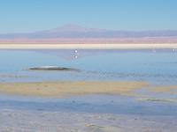 Rundreise Südamerika – Chile und Argentinien Santiago de Chile – Atacama-Wüste – Valparaiso – Punta Arenas – Torres del Paine – Perito Moreno-Gletscher – Buenos Aires (123)