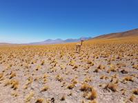 Rundreise Südamerika – Chile und Argentinien Santiago de Chile – Atacama-Wüste – Valparaiso – Punta Arenas – Torres del Paine – Perito Moreno-Gletscher – Buenos Aires (137)