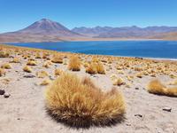 Rundreise Südamerika – Chile und Argentinien Santiago de Chile – Atacama-Wüste – Valparaiso – Punta Arenas – Torres del Paine – Perito Moreno-Gletscher – Buenos Aires (142)