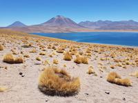 Rundreise Südamerika – Chile und Argentinien Santiago de Chile – Atacama-Wüste – Valparaiso – Punta Arenas – Torres del Paine – Perito Moreno-Gletscher – Buenos Aires (145)