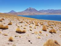 Rundreise Südamerika – Chile und Argentinien Santiago de Chile – Atacama-Wüste – Valparaiso – Punta Arenas – Torres del Paine – Perito Moreno-Gletscher – Buenos Aires (151)