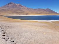 Rundreise Südamerika – Chile und Argentinien Santiago de Chile – Atacama-Wüste – Valparaiso – Punta Arenas – Torres del Paine – Perito Moreno-Gletscher – Buenos Aires (154)