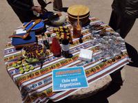 Rundreise Südamerika – Chile und Argentinien Santiago de Chile – Atacama-Wüste – Valparaiso – Punta Arenas – Torres del Paine – Perito Moreno-Gletscher – Buenos Aires (161)