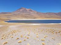 Rundreise Südamerika – Chile und Argentinien Santiago de Chile – Atacama-Wüste – Valparaiso – Punta Arenas – Torres del Paine – Perito Moreno-Gletscher – Buenos Aires (167)