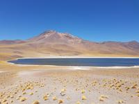 Rundreise Südamerika – Chile und Argentinien Santiago de Chile – Atacama-Wüste – Valparaiso – Punta Arenas – Torres del Paine – Perito Moreno-Gletscher – Buenos Aires (169)