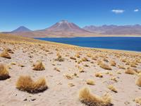Rundreise Südamerika – Chile und Argentinien Santiago de Chile – Atacama-Wüste – Valparaiso – Punta Arenas – Torres del Paine – Perito Moreno-Gletscher – Buenos Aires (181)