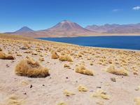 Rundreise Südamerika – Chile und Argentinien Santiago de Chile – Atacama-Wüste – Valparaiso – Punta Arenas – Torres del Paine – Perito Moreno-Gletscher – Buenos Aires (183)
