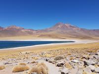 Rundreise Südamerika – Chile und Argentinien Santiago de Chile – Atacama-Wüste – Valparaiso – Punta Arenas – Torres del Paine – Perito Moreno-Gletscher – Buenos Aires (185)