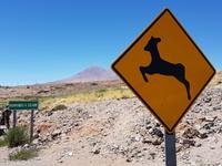 Rundreise Südamerika – Chile und Argentinien Santiago de Chile – Atacama-Wüste – Valparaiso – Punta Arenas – Torres del Paine – Perito Moreno-Gletscher – Buenos Aires (190)