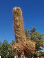 Rundreise Südamerika – Chile und Argentinien Santiago de Chile – Atacama-Wüste – Valparaiso – Punta Arenas – Torres del Paine – Perito Moreno-Gletscher – Buenos Aires (206)