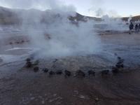 Rundreise Südamerika – Chile und Argentinien Santiago de Chile – Atacama-Wüste – Valparaiso – Punta Arenas – Torres del Paine – Perito Moreno-Gletscher – Buenos Aires (223)