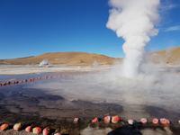Rundreise Südamerika – Chile und Argentinien Santiago de Chile – Atacama-Wüste – Valparaiso – Punta Arenas – Torres del Paine – Perito Moreno-Gletscher – Buenos Aires (254)
