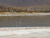 Rundreise Südamerika – Chile und Argentinien Santiago de Chile – Atacama-Wüste – Valparaiso – Punta Arenas – Torres del Paine – Perito Moreno-Gletscher – Buenos Aires (268)