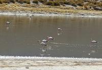 Rundreise Südamerika – Chile und Argentinien Santiago de Chile – Atacama-Wüste – Valparaiso – Punta Arenas – Torres del Paine – Perito Moreno-Gletscher – Buenos Aires (270)