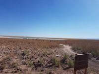 Rundreise Südamerika – Chile und Argentinien Santiago de Chile – Atacama-Wüste – Valparaiso – Punta Arenas – Torres del Paine – Perito Moreno-Gletscher – Buenos Aires (287)