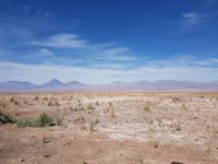 Rundreise Südamerika – Chile und Argentinien Santiago de Chile – Atacama-Wüste – Valparaiso – Punta Arenas – Torres del Paine – Perito Moreno-Gletscher – Buenos Aires (288)