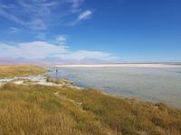 Rundreise Südamerika – Chile und Argentinien Santiago de Chile – Atacama-Wüste – Valparaiso – Punta Arenas – Torres del Paine – Perito Moreno-Gletscher – Buenos Aires (294)