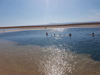 Rundreise Südamerika – Chile und Argentinien Santiago de Chile – Atacama-Wüste – Valparaiso – Punta Arenas – Torres del Paine – Perito Moreno-Gletscher – Buenos Aires (298)