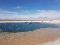 Rundreise Südamerika – Chile und Argentinien Santiago de Chile – Atacama-Wüste – Valparaiso – Punta Arenas – Torres del Paine – Perito Moreno-Gletscher – Buenos Aires (300)