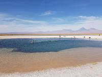 Rundreise Südamerika – Chile und Argentinien Santiago de Chile – Atacama-Wüste – Valparaiso – Punta Arenas – Torres del Paine – Perito Moreno-Gletscher – Buenos Aires (305)