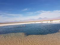 Rundreise Südamerika – Chile und Argentinien Santiago de Chile – Atacama-Wüste – Valparaiso – Punta Arenas – Torres del Paine – Perito Moreno-Gletscher – Buenos Aires (306)