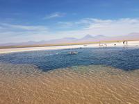 Rundreise Südamerika – Chile und Argentinien Santiago de Chile – Atacama-Wüste – Valparaiso – Punta Arenas – Torres del Paine – Perito Moreno-Gletscher – Buenos Aires (307)