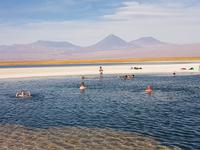 Rundreise Südamerika – Chile und Argentinien Santiago de Chile – Atacama-Wüste – Valparaiso – Punta Arenas – Torres del Paine – Perito Moreno-Gletscher – Buenos Aires (319)