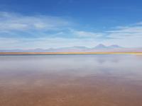 Rundreise Südamerika – Chile und Argentinien Santiago de Chile – Atacama-Wüste – Valparaiso – Punta Arenas – Torres del Paine – Perito Moreno-Gletscher – Buenos Aires (338)