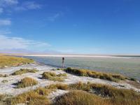 Rundreise Südamerika – Chile und Argentinien Santiago de Chile – Atacama-Wüste – Valparaiso – Punta Arenas – Torres del Paine – Perito Moreno-Gletscher – Buenos Aires (366)