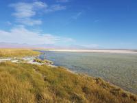 Rundreise Südamerika – Chile und Argentinien Santiago de Chile – Atacama-Wüste – Valparaiso – Punta Arenas – Torres del Paine – Perito Moreno-Gletscher – Buenos Aires (373)