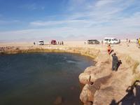 Rundreise Südamerika – Chile und Argentinien Santiago de Chile – Atacama-Wüste – Valparaiso – Punta Arenas – Torres del Paine – Perito Moreno-Gletscher – Buenos Aires (386)