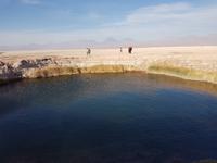 Rundreise Südamerika – Chile und Argentinien Santiago de Chile – Atacama-Wüste – Valparaiso – Punta Arenas – Torres del Paine – Perito Moreno-Gletscher – Buenos Aires (391)