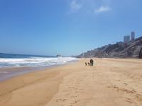 Rundreise Südamerika – Chile und Argentinien Santiago de Chile – Atacama-Wüste – Valparaiso – Punta Arenas – Torres del Paine – Perito Moreno-Gletscher – Buenos Aires (423)