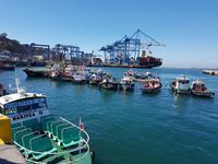 Rundreise Südamerika – Chile und Argentinien Santiago de Chile – Atacama-Wüste – Valparaiso – Punta Arenas – Torres del Paine – Perito Moreno-Gletscher – Buenos Aires (437)