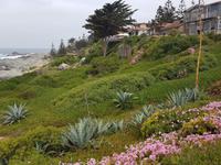 Rundreise Südamerika – Chile und Argentinien Santiago de Chile – Atacama-Wüste – Valparaiso – Punta Arenas – Torres del Paine – Perito Moreno-Gletscher – Buenos Aires (456)