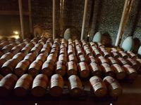 Rundreise Südamerika – Chile und Argentinien Santiago de Chile – Atacama-Wüste – Valparaiso – Punta Arenas – Torres del Paine – Perito Moreno-Gletscher – Buenos Aires (457)