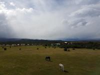 Rundreise Südamerika – Chile und Argentinien Santiago de Chile – Atacama-Wüste – Valparaiso – Punta Arenas – Torres del Paine – Perito Moreno-Gletscher – Buenos Aires (610)