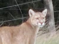 Rundreise Südamerika – Chile und Argentinien Santiago de Chile – Atacama-Wüste – Valparaiso – Punta Arenas – Torres del Paine – Perito Moreno-Gletscher – Buenos Aires (617)