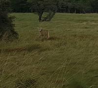 Rundreise Südamerika – Chile und Argentinien Santiago de Chile – Atacama-Wüste – Valparaiso – Punta Arenas – Torres del Paine – Perito Moreno-Gletscher – Buenos Aires (620)