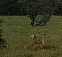Rundreise Südamerika – Chile und Argentinien Santiago de Chile – Atacama-Wüste – Valparaiso – Punta Arenas – Torres del Paine – Perito Moreno-Gletscher – Buenos Aires (621)